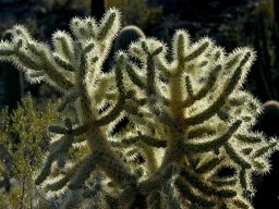 USA_Mexico2006-2007-024